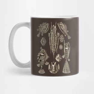 Ernst Haeckel Ostraciontes Fish  Wenge Mug